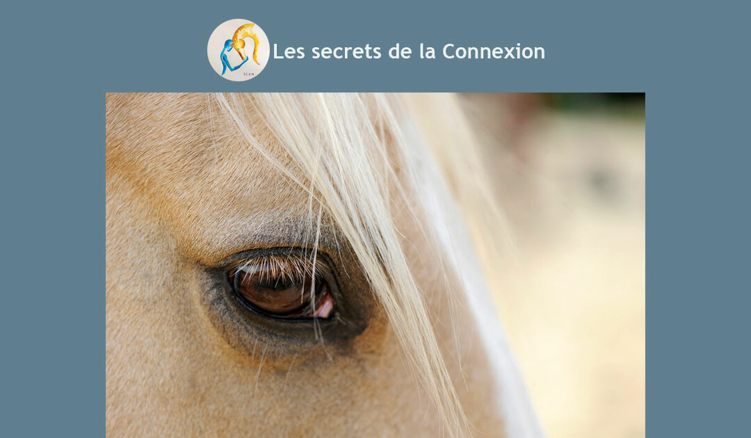 PROCHAINES DATES ET LIEUX DE FORMATION Moniteurs