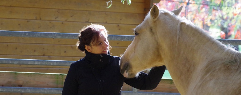 Le programme de la formation Consultant en Connexion Equestre
