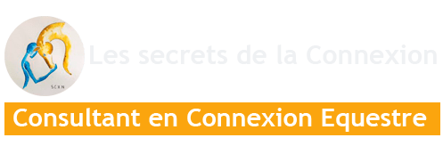 Les Secrets de la Connexion