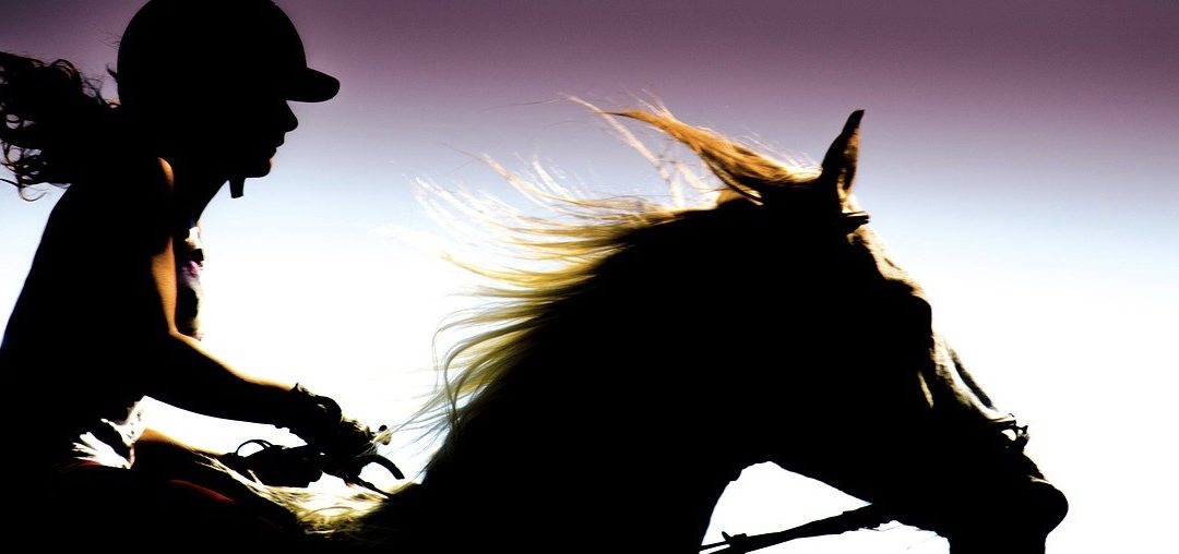 Qu’est-ce qu’un Consultant en Connexion Equestre ?